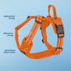 imageAir Frontier Mesh Dog Harness with and Reflective Dog Leash Set Reflective Stitching and Lightweight Breathable NoPull Design Adjustable Neck and Chest Straps for Small to Large Breeds  BUW MHarness Orange Mesh