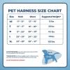 imageAir Frontier Mesh Dog Harness with and Reflective Dog Leash Set Reflective Stitching and Lightweight Breathable NoPull Design Adjustable Neck and Chest Straps for Small to Large Breeds  BUW MHarness Blue Mesh