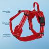 imageAir Frontier Mesh Dog Harness with and Reflective Dog Leash Set Reflective Stitching and Lightweight Breathable NoPull Design Adjustable Neck and Chest Straps for Small to Large Breeds  BUW MHarness Red Mesh