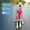 imageAir Frontier Mesh Dog Harness with and Reflective Dog Leash Set Reflective Stitching and Lightweight Breathable NoPull Design Adjustable Neck and Chest Straps for Small to Large Breeds  BUW MHarness Red Mesh