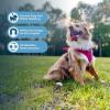 imageAir Frontier Mesh Dog Harness with and Reflective Dog Leash Set Reflective Stitching and Lightweight Breathable NoPull Design Adjustable Neck and Chest Straps for Small to Large Breeds  BUW MHarness Fuchsia Mesh