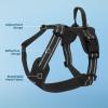 imageAir Frontier Mesh Dog Harness with and Reflective Dog Leash Set Reflective Stitching and Lightweight Breathable NoPull Design Adjustable Neck and Chest Straps for Small to Large Breeds  BUW MHarness Black Mesh