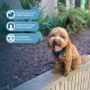 imageAir Frontier Mesh Dog Harness with and Reflective Dog Leash Set Reflective Stitching and Lightweight Breathable NoPull Design Adjustable Neck and Chest Straps for Small to Large Breeds  BUW MHarness Blue Mesh