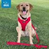 imageAir Frontier Mesh Dog Harness with and Reflective Dog Leash Set Reflective Stitching and Lightweight Breathable NoPull Design Adjustable Neck and Chest Straps for Small to Large Breeds  BUW MHarness Red Mesh