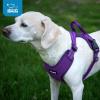 imageAir Frontier Mesh Dog Harness with and Reflective Dog Leash Set Reflective Stitching and Lightweight Breathable NoPull Design Adjustable Neck and Chest Straps for Small to Large Breeds  BUW MHarness Purple Mesh