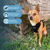 imageAir Frontier Mesh Dog Harness with and Reflective Dog Leash Set Reflective Stitching and Lightweight Breathable NoPull Design Adjustable Neck and Chest Straps for Small to Large Breeds  BUW MHarness Leash Set Black Mesh
