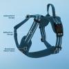 imageAir Frontier Mesh Dog Harness with and Reflective Dog Leash Set Reflective Stitching and Lightweight Breathable NoPull Design Adjustable Neck and Chest Straps for Small to Large Breeds  BUW MHarness Blue Mesh