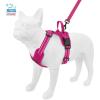 imageAir Frontier Mesh Dog Harness with and Reflective Dog Leash Set Reflective Stitching and Lightweight Breathable NoPull Design Adjustable Neck and Chest Straps for Small to Large Breeds  BUW MHarness Leash Set Fuchsia Mesh