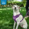 imageAir Frontier Mesh Dog Harness with and Reflective Dog Leash Set Reflective Stitching and Lightweight Breathable NoPull Design Adjustable Neck and Chest Straps for Small to Large Breeds  BUW MHarness Purple Mesh
