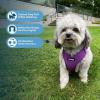 imageAir Frontier Mesh Dog Harness with and Reflective Dog Leash Set Reflective Stitching and Lightweight Breathable NoPull Design Adjustable Neck and Chest Straps for Small to Large Breeds  BUW MHarness Purple Mesh