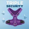 imageAir Frontier Mesh Dog Harness with and Reflective Dog Leash Set Reflective Stitching and Lightweight Breathable NoPull Design Adjustable Neck and Chest Straps for Small to Large Breeds  BUW MHarness Purple Mesh
