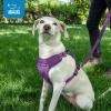 imageAir Frontier Mesh Dog Harness with and Reflective Dog Leash Set Reflective Stitching and Lightweight Breathable NoPull Design Adjustable Neck and Chest Straps for Small to Large Breeds  BUW MHarness Leash Set Fuchsia Mesh