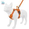 imageAir Frontier Mesh Dog Harness with and Reflective Dog Leash Set Reflective Stitching and Lightweight Breathable NoPull Design Adjustable Neck and Chest Straps for Small to Large Breeds  BUW MHarness Leash Set Orange Mesh