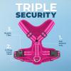 imageAir Frontier Mesh Dog Harness with and Reflective Dog Leash Set Reflective Stitching and Lightweight Breathable NoPull Design Adjustable Neck and Chest Straps for Small to Large Breeds  BUW MHarness Fuchsia Mesh