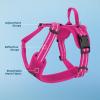 imageAir Frontier Mesh Dog Harness with and Reflective Dog Leash Set Reflective Stitching and Lightweight Breathable NoPull Design Adjustable Neck and Chest Straps for Small to Large Breeds  BUW MHarness Fuchsia Mesh
