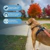 imageAir Frontier Mesh Dog Harness with and Reflective Dog Leash Set Reflective Stitching and Lightweight Breathable NoPull Design Adjustable Neck and Chest Straps for Small to Large Breeds  BUW MHarness Camo Mesh