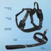 imageAir Frontier Mesh Dog Harness with and Reflective Dog Leash Set Reflective Stitching and Lightweight Breathable NoPull Design Adjustable Neck and Chest Straps for Small to Large Breeds  BUW MHarness Leash Set Blue Mesh