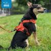 imageAir Frontier Mesh Dog Harness with and Reflective Dog Leash Set Reflective Stitching and Lightweight Breathable NoPull Design Adjustable Neck and Chest Straps for Small to Large Breeds  BUW MHarness Orange Mesh