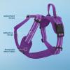 imageAir Frontier Mesh Dog Harness with and Reflective Dog Leash Set Reflective Stitching and Lightweight Breathable NoPull Design Adjustable Neck and Chest Straps for Small to Large Breeds  BUW MHarness Purple Mesh