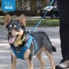 imageBest Pet Supplies  All Weather Mesh Reflective No Pull Harness for Small Medium Dogs Cats  Secure with Hook ampamp Loop Fastener Buckle Double DRings  Blue Trim MLeash Harness Set Baby Blue Base