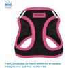imageBest Pet Supplies  All Weather Mesh Reflective No Pull Harness for Small Medium Dogs Cats  Secure with Hook ampamp Loop Fastener Buckle Double DRings  Blue Trim MLeash Harness Set Pink