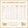 imageBest Pet Supplies  All Weather Mesh Reflective No Pull Harness for Small Medium Dogs Cats  Secure with Hook ampamp Loop Fastener Buckle Double DRings  Blue Trim MLeash Harness Set Baby Blue Base