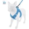 imageBest Pet Supplies  All Weather Mesh Reflective No Pull Harness for Small Medium Dogs Cats  Secure with Hook ampamp Loop Fastener Buckle Double DRings  Blue Trim MLeash Harness Set Baby Blue Base