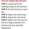 imageBest Pet Supplies  All Weather Mesh Reflective No Pull Harness for Small Medium Dogs Cats  Secure with Hook ampamp Loop Fastener Buckle Double DRings  Blue Trim MLeash Harness Set Baby Blue Base