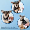 imageBest Pet Supplies CoconutScented Moisturizing Pet Wipes for Dogs ampamp Cats  Extra Soft ampamp Strong Grooming Wipes with Gentle PlantDerived Formula Model Number WWCO100 Count Pack of 1