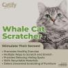 imageBest Pet Supplies Corrugated Cardboard Cat Scratcher Refill Pads Lounger and Fun Interactive Scratching Boards Claw Safe Durable Natural Recycled Materials Supports Active Play  DropletWhale