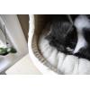 imageBest Pet Supplies Dog Pet Booster Seat Dog Car Seats for Small Dogs ampamp Medium Dogs Soft Plush Cushion with Comfortable Bedding Secure Straps and Tall Pillow BlacCat Cave Gray