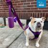 imageBest Pet Supplies Dog Poop Bag Holder Leash Attachment with 30 Bags Reusable Dispenser for Travel Walking Park and Outdoor Use Durable with ClipOn  Fuchsia Pack of 2Green Plastic