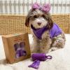imageBest Pet Supplies Dog Poop Bags 150 Bags for Waste Refuse Cleanup Doggy Roll Replacements for Outdoor Puppy Walking and Travel Leak Proof and Tear Resistant Thick Plastic  Pink HeartPurple Lavender Scented