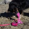 imageBest Pet Supplies Dog Poop Bags 150 Bags for Waste Refuse Cleanup Doggy Roll Replacements for Outdoor Puppy Walking and Travel Leak Proof and Tear Resistant Thick Plastic  Pink HeartPink Heart