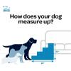 imageBest Pet Supplies Dog Stairs ampamp Steps  Foam Steps for Small Dogs ampamp Cats NonSlip Indoor Balanced Pet Step Support Dog Ramp No Assembly Brown Linen Foldable 2Step 12inch HeightGray Lattice Print