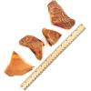 imageBest Pet Supplies GigaBite Roasted Pig Ears for Dogs Natural and Healthy Chews Treats in Whole Slices or Sticks Safe for Puppies and Aggressive Chewers Clean Teeth and Gums  Pack of 24HalfCut