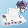 imageBest Pet Supplies Pet Wipes for Dogs  Dog Wipes Cleaning Deodorizing for Coats Ears Paws  Refreshing Cucumber 100 CountCalming Lavender