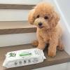 imageBest Pet Supplies Pet Wipes for Dogs  Dog Wipes Cleaning Deodorizing for Coats Ears Paws  Refreshing Cucumber 100 CountCleansing Tea Tree
