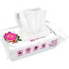 imageBest Pet Supplies Pet Wipes for Dogs  Dog Wipes Cleaning Deodorizing for Coats Ears Paws  Refreshing Cucumber 100 CountRejuvenating Rose Hip