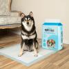 imageBest Pet Supplies Puppy Pads  Disposable Dog Training Potty Super Absorbent Baby Blue Puppy Pee Pads for Dogs 300 CountBaby Blue