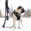 imageBest Pet Supplies Reflective Dog Collar with Adjustable Length HeavyDuty Buckle and Strong Leash DRing Training Walking Jogging Accessory for Small Medium and Large Breeds  Baby Blue MLeash Black