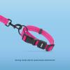 imageBest Pet Supplies Reflective Dog Collar with Adjustable Length HeavyDuty Buckle and Strong Leash DRing Training Walking Jogging Accessory for Small Medium and Large Breeds  Baby Blue MLeash Collar Set Fuchsia
