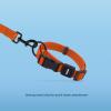 imageBest Pet Supplies Reflective Dog Collar with Adjustable Length HeavyDuty Buckle and Strong Leash DRing Training Walking Jogging Accessory for Small Medium and Large Breeds  Baby Blue MLeash Collar Set Orange