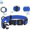 imageBest Pet Supplies Reflective Dog Collar with Adjustable Length HeavyDuty Buckle and Strong Leash DRing Training Walking Jogging Accessory for Small Medium and Large Breeds  Baby Blue MCollar Royal Blue
