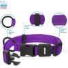 imageBest Pet Supplies Reflective Dog Collar with Adjustable Length HeavyDuty Buckle and Strong Leash DRing Training Walking Jogging Accessory for Small Medium and Large Breeds  Baby Blue MCollar Purple