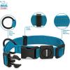 imageBest Pet Supplies Reflective Dog Collar with Adjustable Length HeavyDuty Buckle and Strong Leash DRing Training Walking Jogging Accessory for Small Medium and Large Breeds  Baby Blue MCollar Turquoise