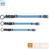 imageBest Pet Supplies Reflective Dog Collar with Adjustable Length HeavyDuty Buckle and Strong Leash DRing Training Walking Jogging Accessory for Small Medium and Large Breeds  Baby Blue MCollar Baby Blue