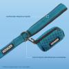imageBest Pet Supplies Reflective Dog Collar with Adjustable Length HeavyDuty Buckle and Strong Leash DRing Training Walking Jogging Accessory for Small Medium and Large Breeds  Baby Blue MLeash Collar Set Turquoise