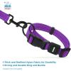 imageBest Pet Supplies Reflective Dog Collar with Adjustable Length HeavyDuty Buckle and Strong Leash DRing Training Walking Jogging Accessory for Small Medium and Large Breeds  Baby Blue MCollar Purple