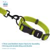 imageBest Pet Supplies Reflective Dog Collar with Adjustable Length HeavyDuty Buckle and Strong Leash DRing Training Walking Jogging Accessory for Small Medium and Large Breeds  Baby Blue MCollar Lime Green
